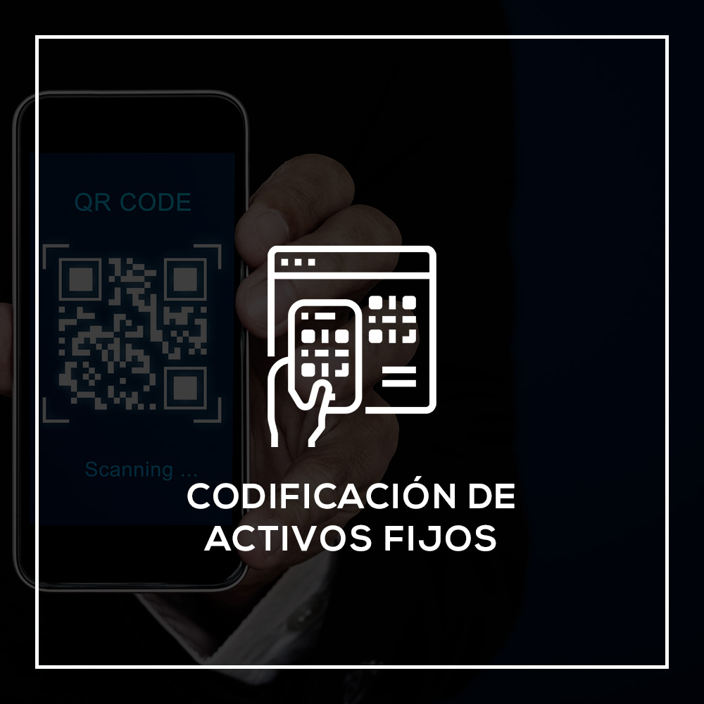 Activosfijos1